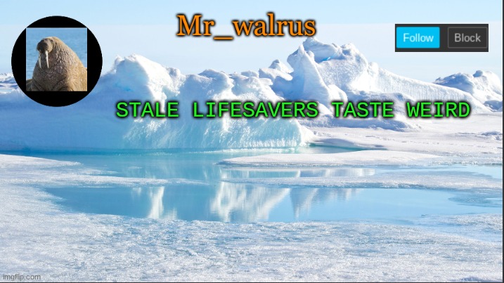 Mr_walrus | STALE LIFESAVERS TASTE WEIRD | image tagged in mr_walrus | made w/ Imgflip meme maker