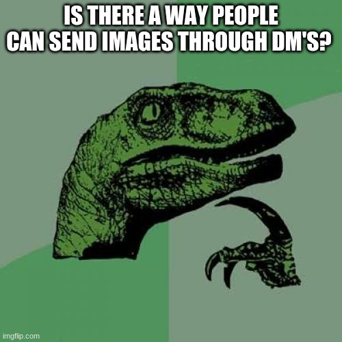 Philosoraptor Meme | IS THERE A WAY PEOPLE CAN SEND IMAGES THROUGH DM'S? | image tagged in memes,philosoraptor | made w/ Imgflip meme maker