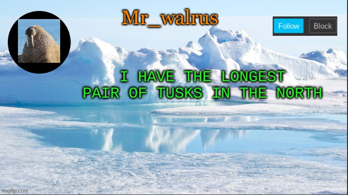 Mr_walrus | I HAVE THE LONGEST PAIR OF TUSKS IN THE NORTH | image tagged in mr_walrus | made w/ Imgflip meme maker