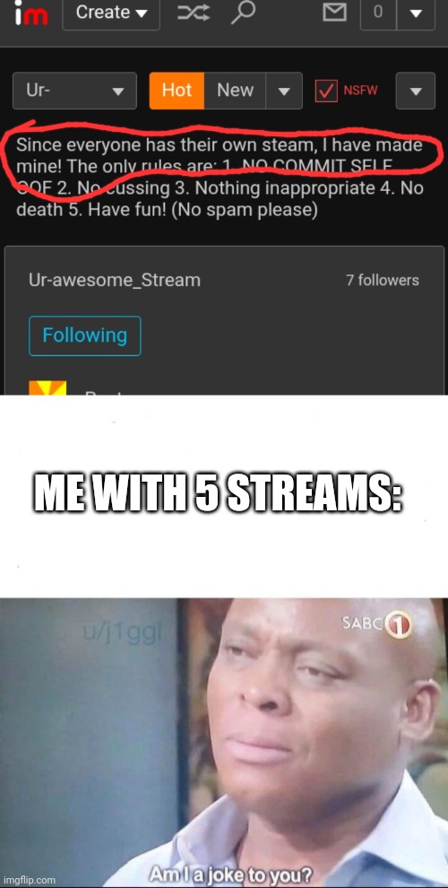 So do I | ME WITH 5 STREAMS: | image tagged in am i a joke to you | made w/ Imgflip meme maker