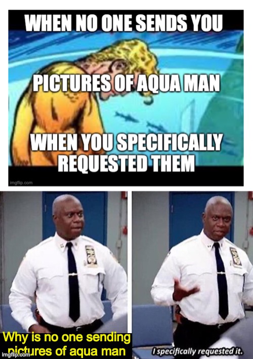 Why is no one sending pictures of aqua man | image tagged in i specifically requested it | made w/ Imgflip meme maker