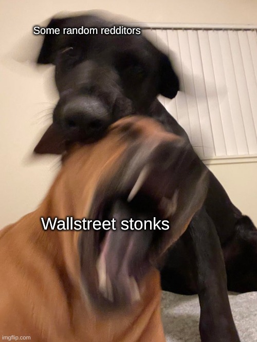 I don't even know what tf is happening anymore |  Some random redditors; Wallstreet stonks | image tagged in wallstreet,stonks,arrogant rich man,politics lol,i don't know,dank memes,memes | made w/ Imgflip meme maker