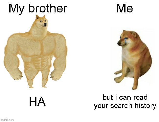 Buff Doge vs. Cheems Meme | My brother; Me; HA; but i can read your search history | image tagged in memes,buff doge vs cheems | made w/ Imgflip meme maker
