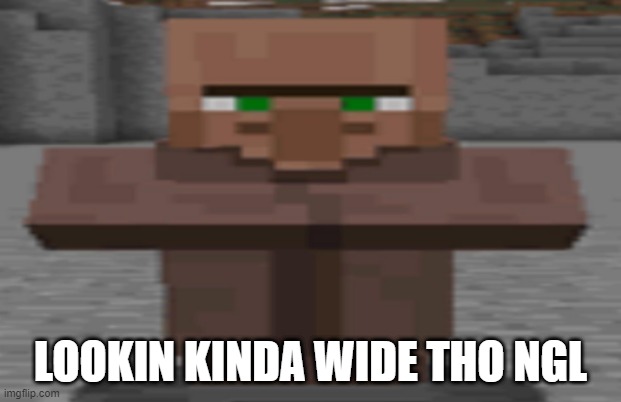 Wide Villager | LOOKIN KINDA WIDE THO NGL | image tagged in minecraft,minecraft villagers | made w/ Imgflip meme maker