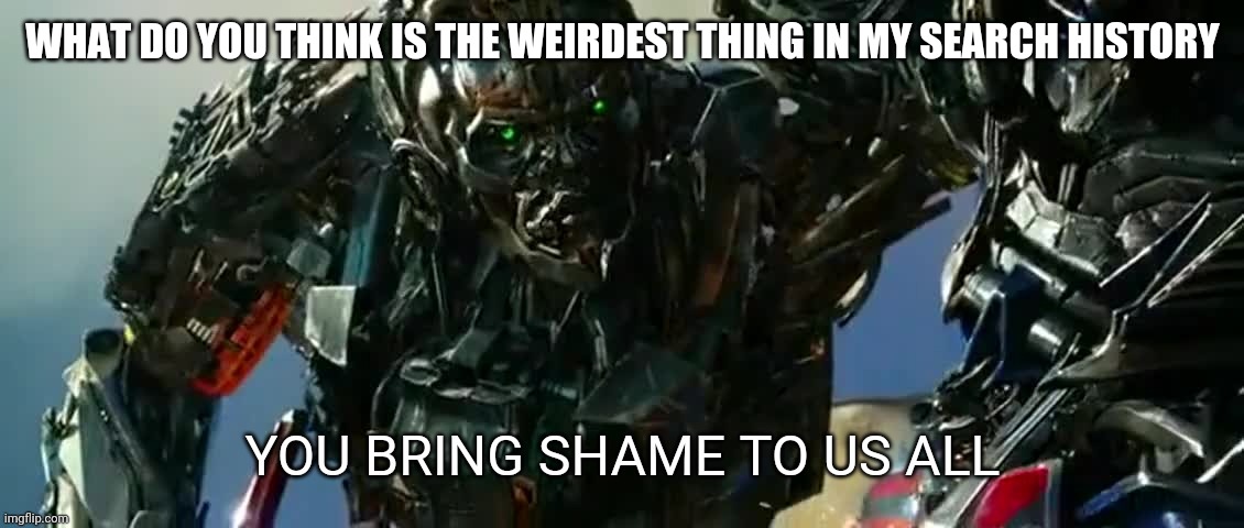 WHAT DO YOU THINK IS THE WEIRDEST THING IN MY SEARCH HISTORY | image tagged in you bring shame to us all | made w/ Imgflip meme maker