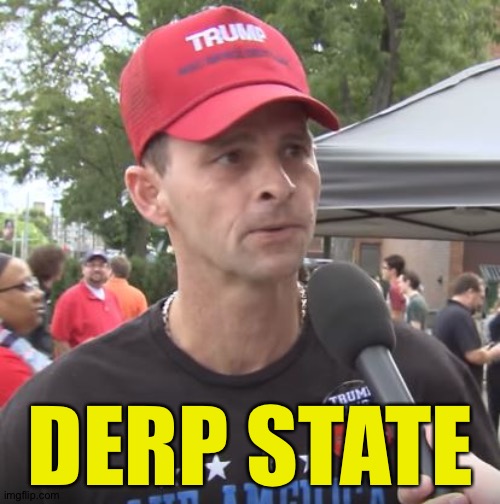 Trump supporter | DERP STATE | image tagged in trump supporter | made w/ Imgflip meme maker