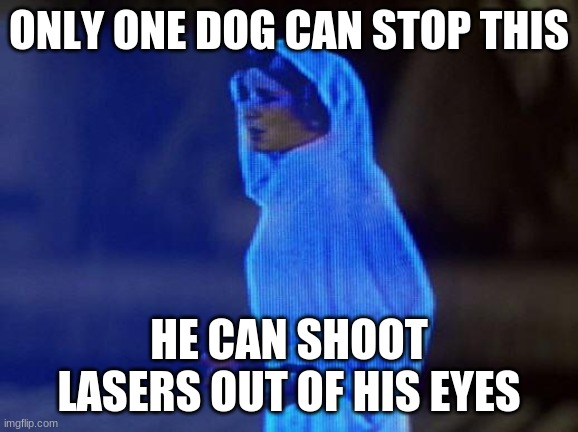 help me obi wan | ONLY ONE DOG CAN STOP THIS HE CAN SHOOT LASERS OUT OF HIS EYES | image tagged in help me obi wan | made w/ Imgflip meme maker