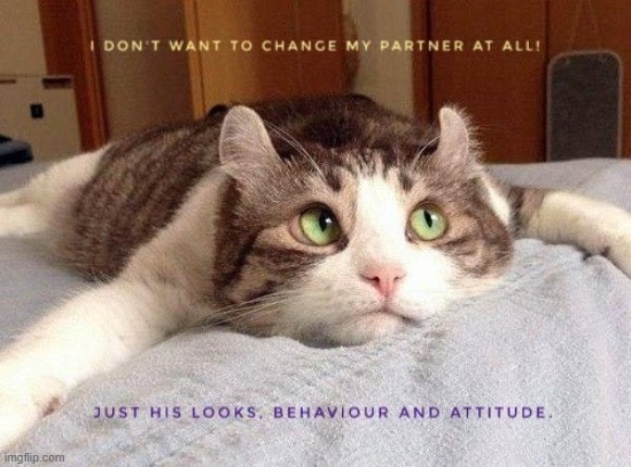 I don't want to change my partner at all! Just his looks, attitude and behaviour | image tagged in change,relationships | made w/ Imgflip meme maker