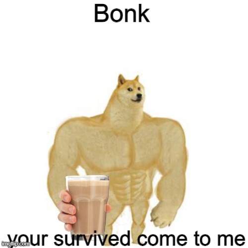 Your not ded | Bonk; your survived come to me | image tagged in blank white template,chocolate milk,doge,buff doge vs crying cheems,silly,funny | made w/ Imgflip meme maker