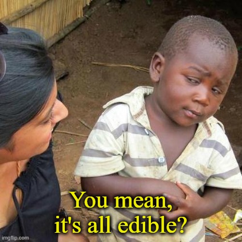 Third World Skeptical Kid Meme | You mean, it's all edible? | image tagged in memes,third world skeptical kid | made w/ Imgflip meme maker