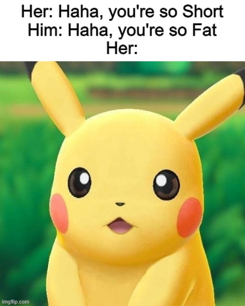 Why is this so true? | Her: Haha, you're so Short
Him: Haha, you're so Fat
Her: | image tagged in high quality surprised pikachu | made w/ Imgflip meme maker