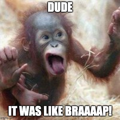 Crazy Monkey | DUDE; IT WAS LIKE BRAAAAP! | image tagged in crazy monkey | made w/ Imgflip meme maker