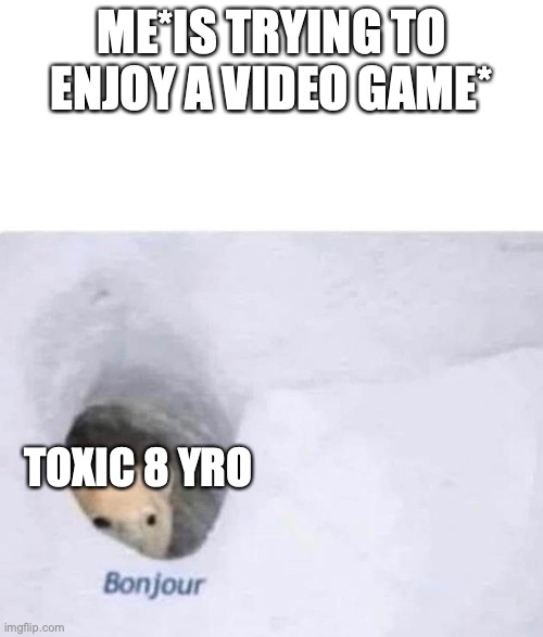 Bonjour | ME*IS TRYING TO ENJOY A VIDEO GAME*; TOXIC 8 YRO | image tagged in bonjour | made w/ Imgflip meme maker