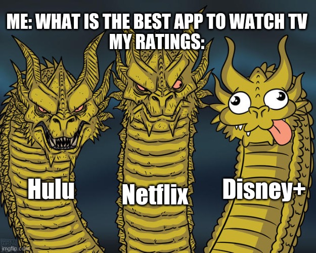 Derpy Dragon | ME: WHAT IS THE BEST APP TO WATCH TV
MY RATINGS:; Netflix; Disney+; Hulu | image tagged in derpy dragon | made w/ Imgflip meme maker