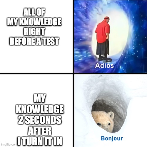 Adios Bonjour | ALL OF MY KNOWLEDGE RIGHT BEFORE A TEST; MY KNOWLEDGE 2 SECONDS AFTER I TURN IT IN | image tagged in adios bonjour | made w/ Imgflip meme maker