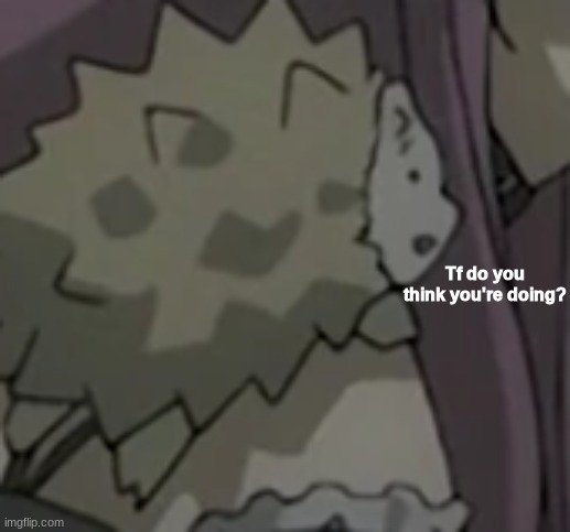 Tf do you think you're doing? | image tagged in tf do you think you're doing | made w/ Imgflip meme maker
