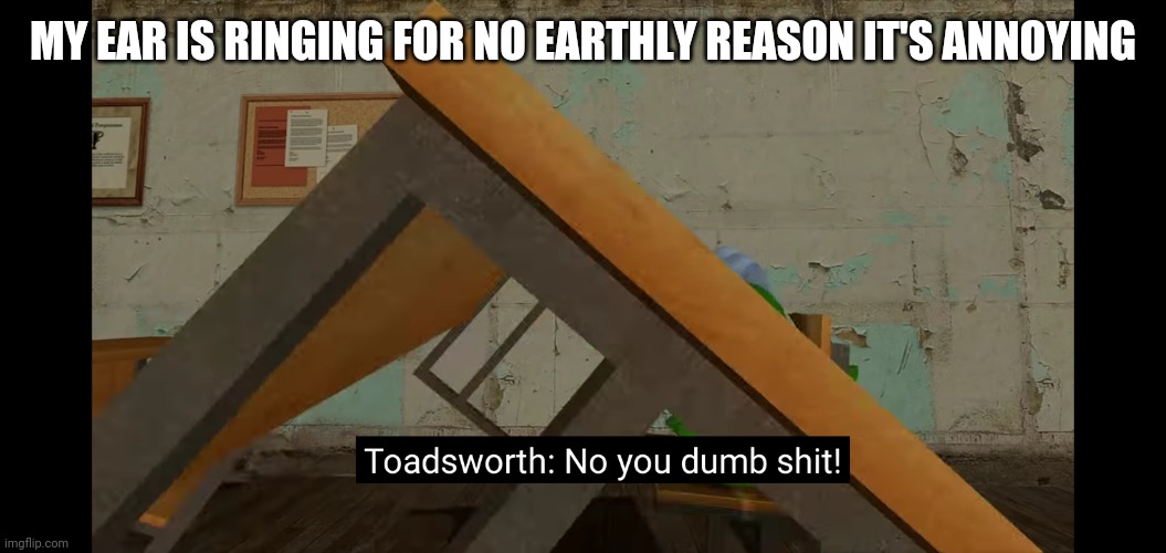 Make it stop | MY EAR IS RINGING FOR NO EARTHLY REASON IT'S ANNOYING | image tagged in no you dumb shit | made w/ Imgflip meme maker