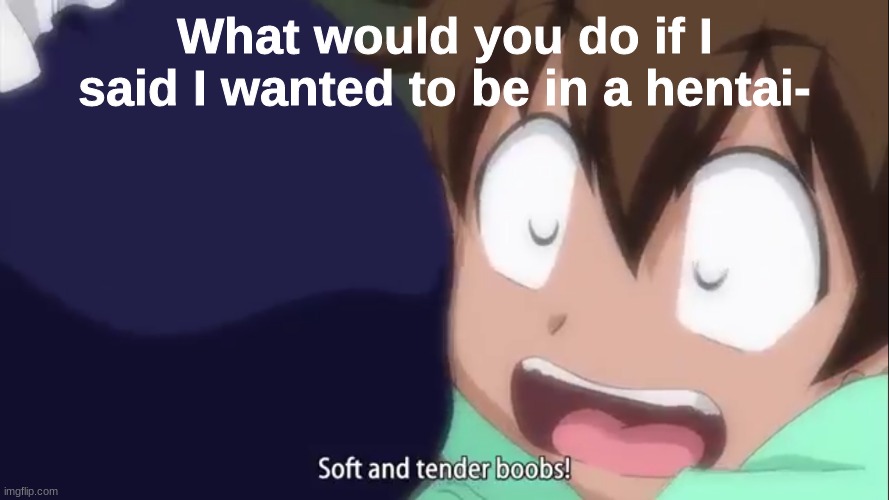 ecksdee- | What would you do if I said I wanted to be in a hentai- | image tagged in soft and tender boobs | made w/ Imgflip meme maker