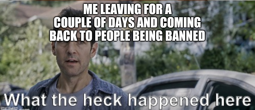 Someone please explain | ME LEAVING FOR A COUPLE OF DAYS AND COMING BACK TO PEOPLE BEING BANNED | image tagged in antman what the heck happened here | made w/ Imgflip meme maker