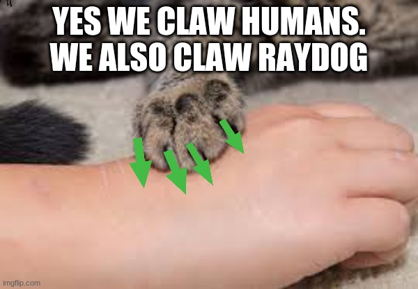 YES WE CLAW HUMANS. WE ALSO CLAW RAYDOG | made w/ Imgflip meme maker