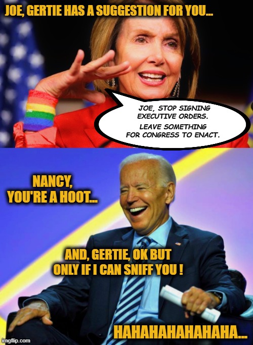 Nancy Pelosi and Gertie talk to President Biden about all the Executive Orders he's signed in his first week in office | JOE, GERTIE HAS A SUGGESTION FOR YOU... JOE, STOP SIGNING EXECUTIVE ORDERS. LEAVE SOMETHING FOR CONGRESS TO ENACT. NANCY, YOU'RE A HOOT... AND, GERTIE, OK BUT ONLY IF I CAN SNIFF YOU ! HAHAHAHAHAHAHA... | image tagged in creepy joe biden,joe biden,election 2020 aftermath,liberal vs conservative,sad but true,congress | made w/ Imgflip meme maker