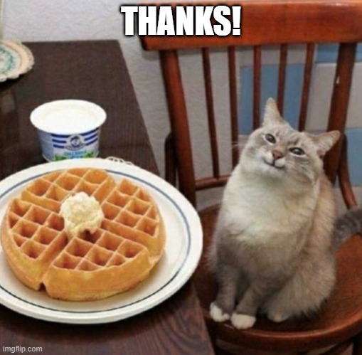 Kitty happy with their waffle | THANKS! | image tagged in kitty happy with their waffle | made w/ Imgflip meme maker