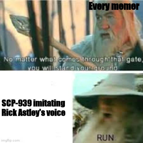 no matter what happens you will hold your ground. RUN | Every memer SCP-939 imitating Rick Astley's voice | image tagged in no matter what happens you will hold your ground run | made w/ Imgflip meme maker