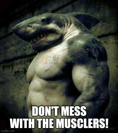 Mamadisimo Shark | DON'T MESS WITH THE MUSCLERS! | image tagged in mamadisimo shark | made w/ Imgflip meme maker