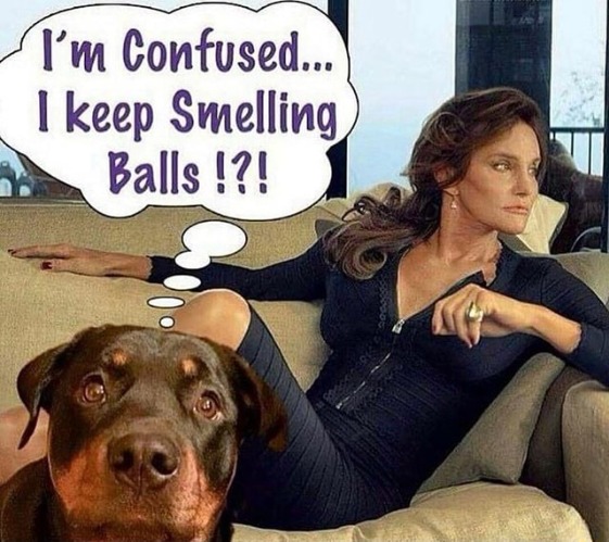 I'm confused. I keep smelling balls! | image tagged in caitlyn jenner,brucaitlyn jenner,balls,bollocks,tired of hearing about transgenders | made w/ Imgflip meme maker