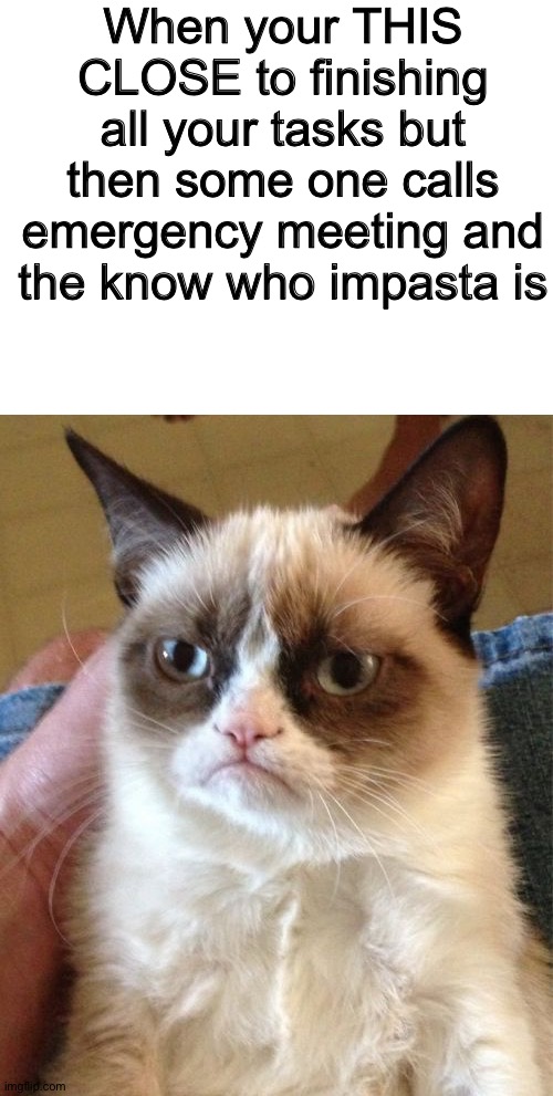 STOP | When your THIS CLOSE to finishing all your tasks but then some one calls emergency meeting and the know who impasta is | image tagged in blank white template,memes,grumpy cat,among us,tasks | made w/ Imgflip meme maker