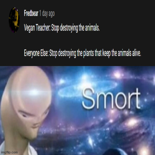 SMORT | image tagged in gifs | made w/ Imgflip meme maker