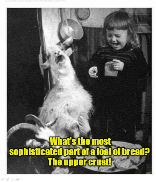 Girl telling a bread joke to her pet goat. | What's the most sophisticated part of a loaf of bread? 
The upper crust! | image tagged in girl and goat laughing,funny | made w/ Imgflip meme maker