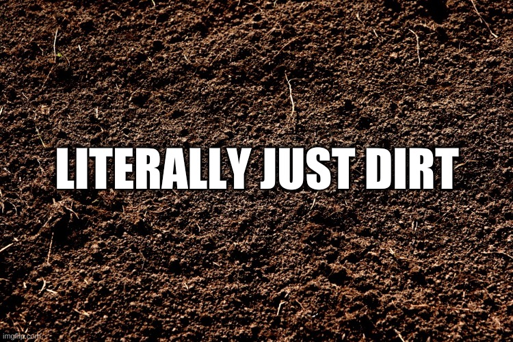 dirt. | LITERALLY JUST DIRT | image tagged in memes,funny,dirt | made w/ Imgflip meme maker
