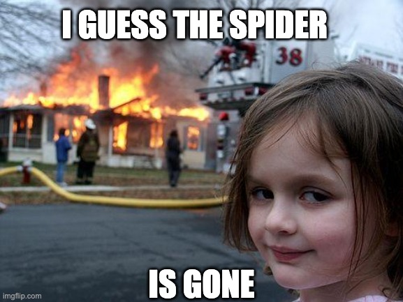 Disaster Girl |  I GUESS THE SPIDER; IS GONE | image tagged in memes,disaster girl | made w/ Imgflip meme maker