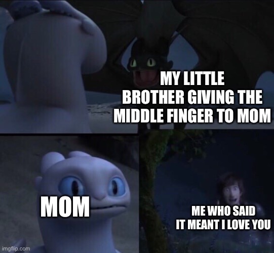 Uhh... | MY LITTLE BROTHER GIVING THE MIDDLE FINGER TO MOM; MOM; ME WHO SAID IT MEANT I LOVE YOU | image tagged in how to train your dragon 3,memes,funny | made w/ Imgflip meme maker