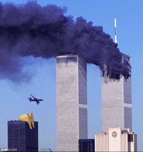 High Quality Twin towers and cat Blank Meme Template