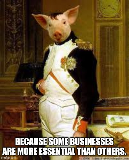 Napoleon Pig | BECAUSE SOME BUSINESSES ARE MORE ESSENTIAL THAN OTHERS. | image tagged in napoleon pig | made w/ Imgflip meme maker