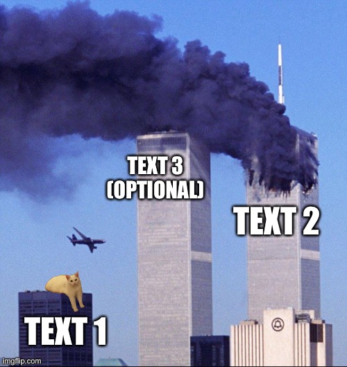 Twin towers and cat | TEXT 3 (OPTIONAL); TEXT 2; TEXT 1 | image tagged in twin towers and cat | made w/ Imgflip meme maker