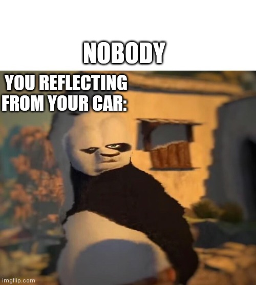Outer car reflection | NOBODY; YOU REFLECTING FROM YOUR CAR: | image tagged in drunk kung fu panda | made w/ Imgflip meme maker