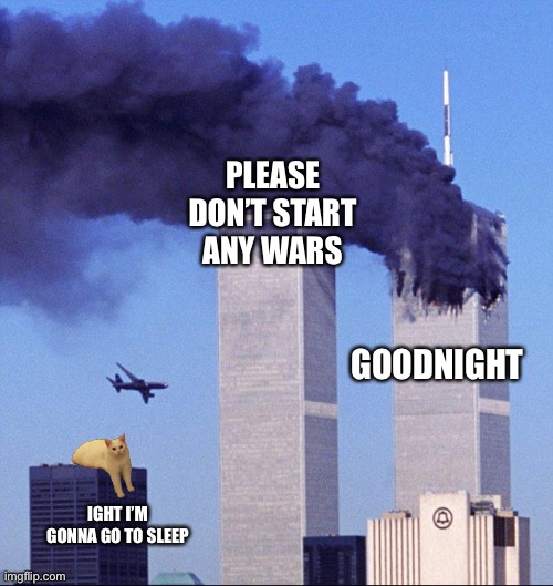 Twin towers and cat | PLEASE DON’T START ANY WARS; GOODNIGHT; IGHT I’M GONNA GO TO SLEEP | image tagged in twin towers and cat | made w/ Imgflip meme maker
