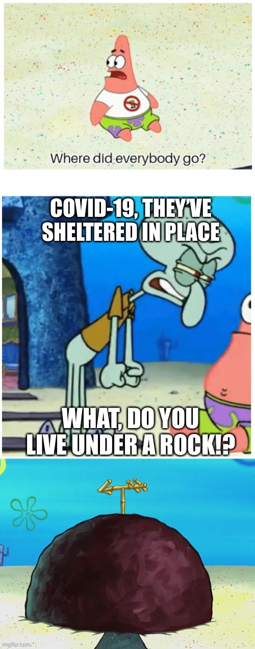 Covid-19 what? | COVID-19, THEY’VE SHELTERED IN PLACE; WHAT, DO YOU LIVE UNDER A ROCK!? | image tagged in patrick star,covid-19,covid19,clueless | made w/ Imgflip meme maker