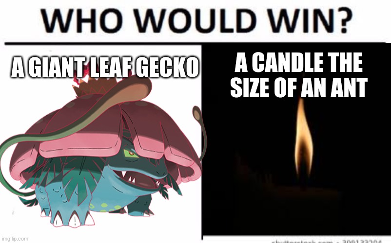 Why | A GIANT LEAF GECKO; A CANDLE THE SIZE OF AN ANT | image tagged in who would win,pokemon logic | made w/ Imgflip meme maker