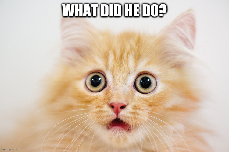 microdroplets | WHAT DID HE DO? | image tagged in microdroplets | made w/ Imgflip meme maker