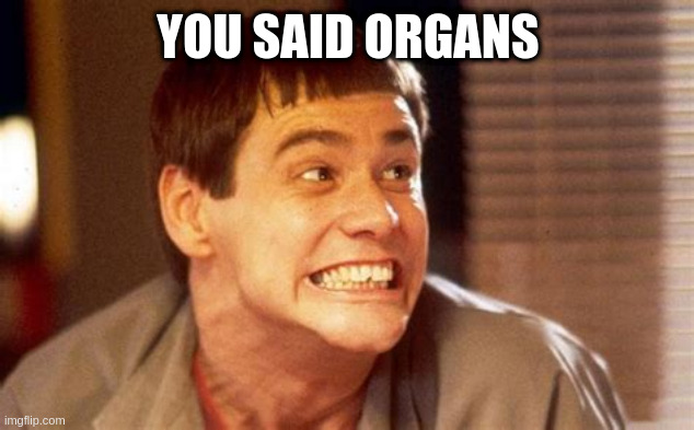 i miss four on the floor | YOU SAID ORGANS | image tagged in jim,urges,areas | made w/ Imgflip meme maker