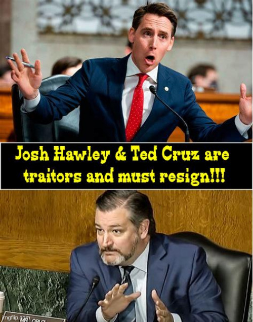 Cruz & Hawley resign | image tagged in traitors | made w/ Imgflip meme maker
