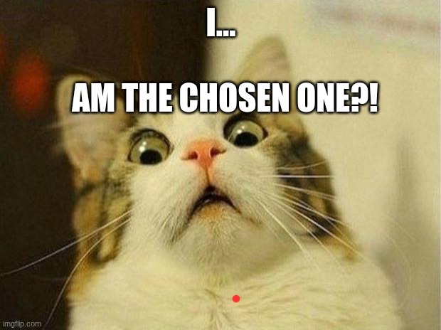 The red dot has chosen ME?! | I... AM THE CHOSEN ONE?! | image tagged in memes,scared cat | made w/ Imgflip meme maker