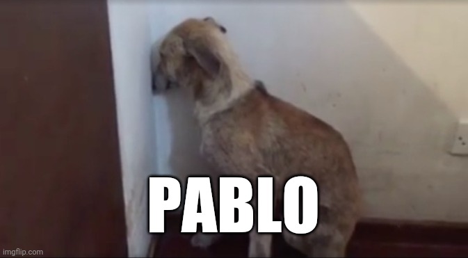 PABLO | image tagged in sad pablo escobar | made w/ Imgflip meme maker
