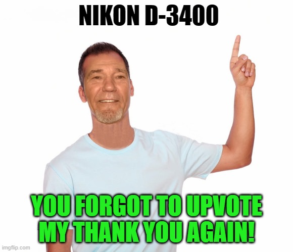 point up | NIKON D-3400 YOU FORGOT TO UPVOTE MY THANK YOU AGAIN! | image tagged in point up | made w/ Imgflip meme maker
