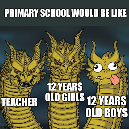 Primary School..... | PRIMARY SCHOOL WOULD BE LIKE; 12 YEARS OLD GIRLS; 12 YEARS OLD BOYS; TEACHER | image tagged in three-headed dragon | made w/ Imgflip meme maker