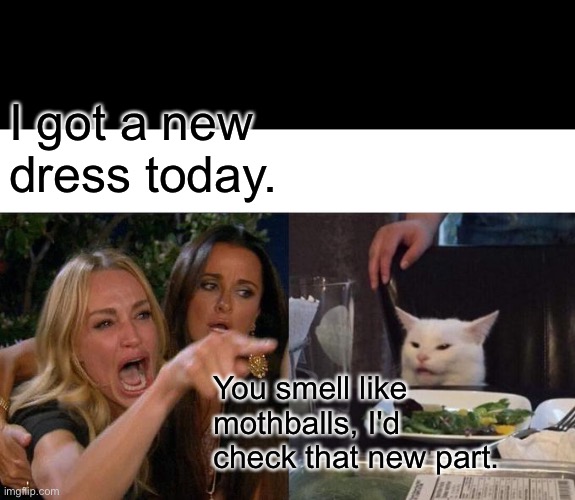 Woman yelling at cat | I got a new dress today. You smell like mothballs, I'd check that new part. | image tagged in memes,woman yelling at cat | made w/ Imgflip meme maker
